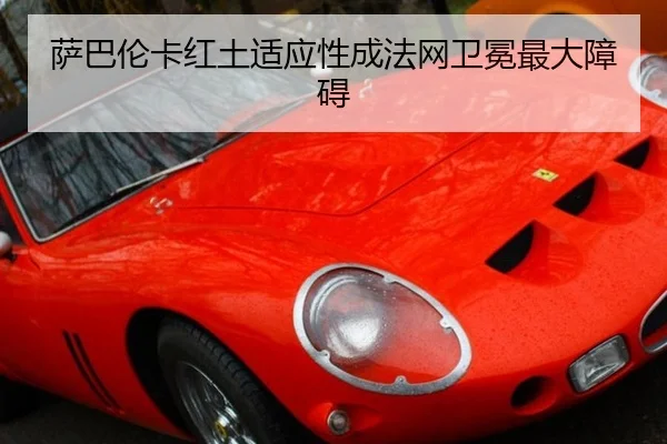 sa-ba-lun-ka-hong-tu-shi-ying-xing-cheng-fa-wang-wei-mian-zui-da-zhang-ai-3-565.jpg