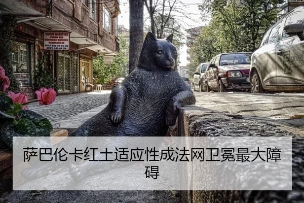 萨巴伦卡红土适应性成法网卫冕最大障碍