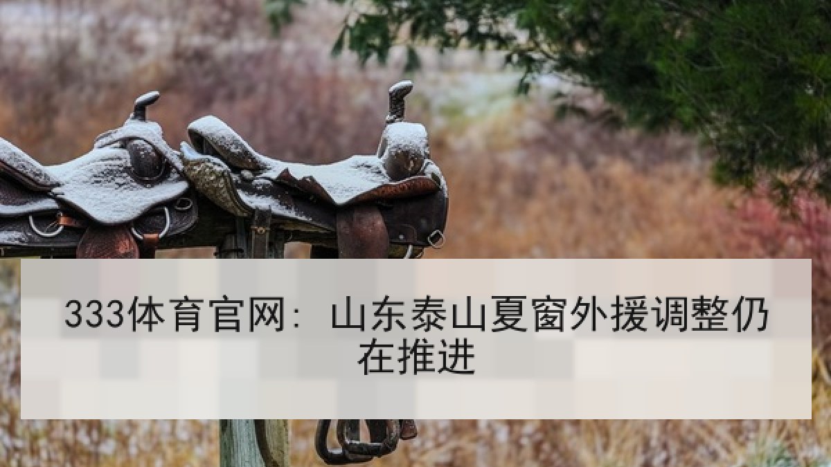 333体育官网: 山东泰山夏窗外援调整仍在推进