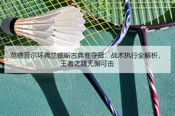 fan-de-pu-er-huan-fu-lan-de-si-gu-dian-sai-duo-guan-zhan-shu-zhi-xing-quan-jie-xi-wang-zhe-zhi-lu-wu-xie-ke-ji-2-883.jpg