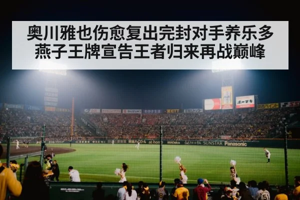 baseball stadium night game