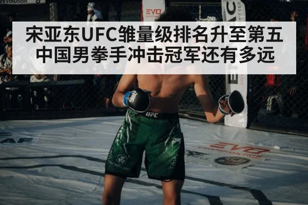 宋亚东UFC雏量级排名升至第五 中国男拳手冲击冠军还有多远